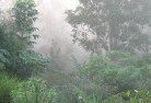 Moresby QLDlandscaping-irrigation-4.jpg; ?>